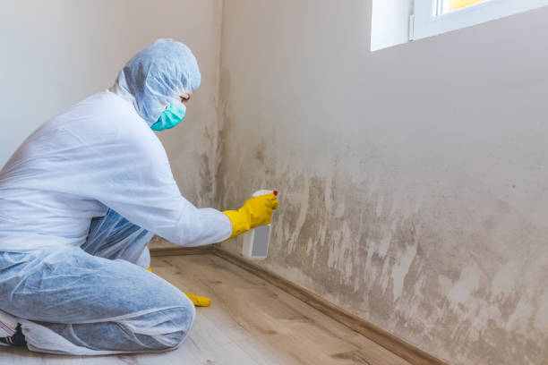 Licensed Mold Remediation service in Robbinsville, NJ - Mold Remediation HQ