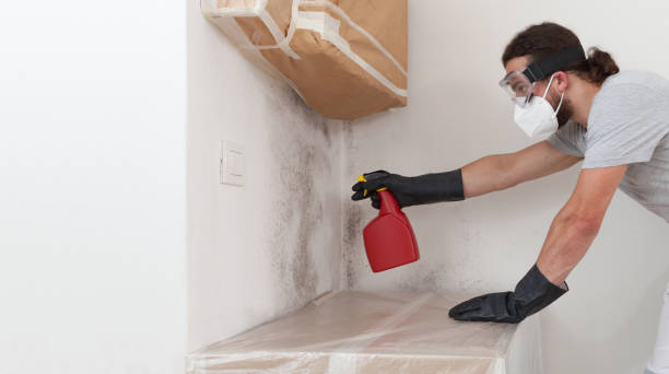 Professional Mold Remediation technician working in Robbinsville, NJ
