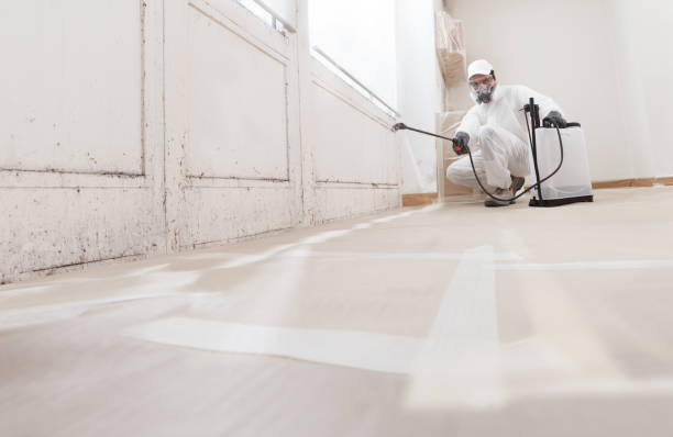 24/7 Emergency Mold Remediation experts in Robbinsville, NJ