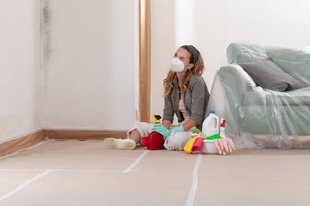 Reliable Mold Remediation contractor in Robbinsville, NJ by Mold Remediation HQ